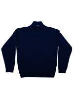 Navy (PMS 5395C)